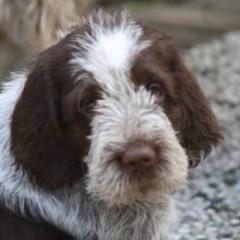 image130