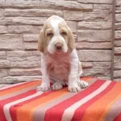 12-Moos-29-03-2012
