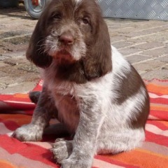 21-Keta-2-4-2012