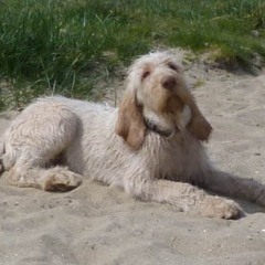 03Lilly-at-the-beach-25-04-2011