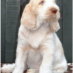 2004-ludo-isaura-11