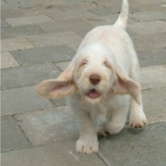 2004-ludo-isaura-13