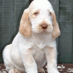 2004-ludo-isaura-4