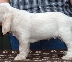 2004-ludo-isaura-7