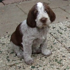 2005-ludo-ninna-11