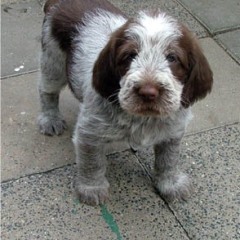 2005-ludo-ninna-12