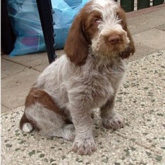 2005-ludo-ninna-5