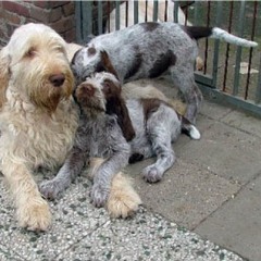 2005-ludo-ninna-6