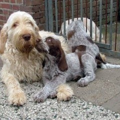 2005-ludo-ninna-7