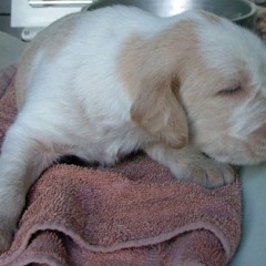 02-1-week