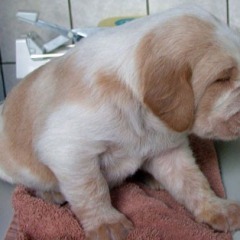 03-1-week