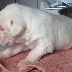 04-1-week
