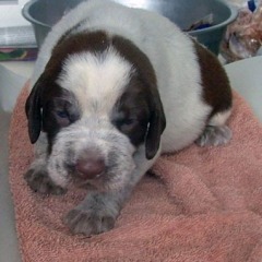 08-1-week