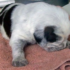 09-1-week