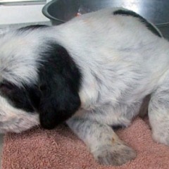 10-1-week