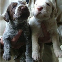 06_2-reutjes-van-Ninna-20-10-05